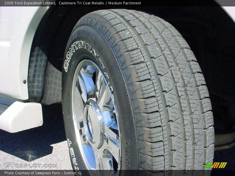 Cashmere Tri Coat Metallic / Medium Parchment 2005 Ford Expedition Limited