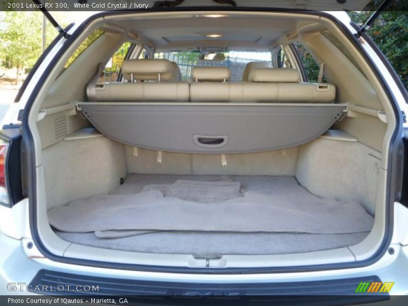 White Gold Crystal / Ivory 2001 Lexus RX 300