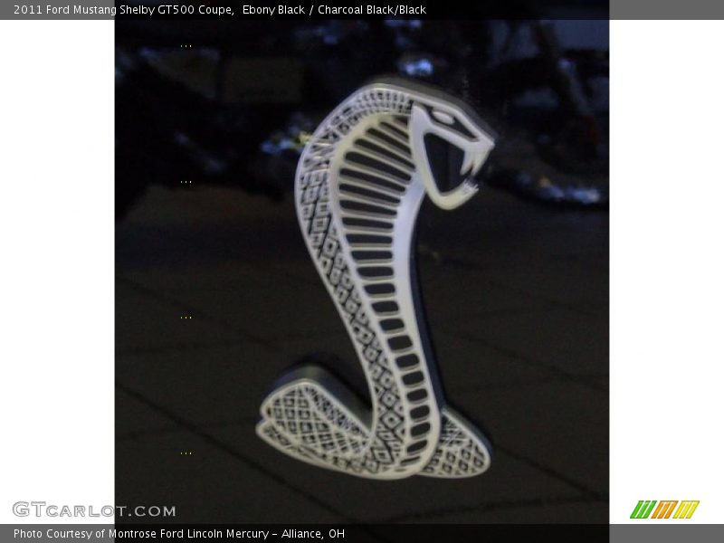  2011 Mustang Shelby GT500 Coupe Logo
