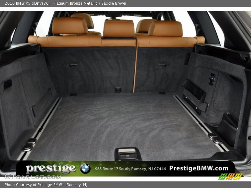 Platinum Bronze Metallic / Saddle Brown 2010 BMW X5 xDrive30i