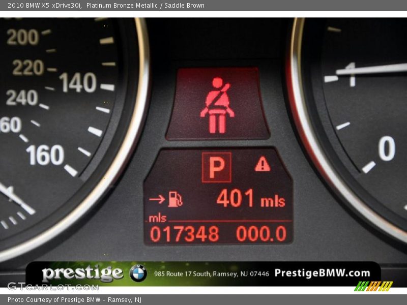 Platinum Bronze Metallic / Saddle Brown 2010 BMW X5 xDrive30i
