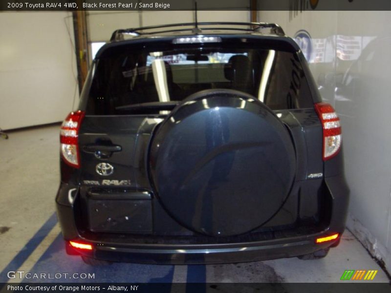 Black Forest Pearl / Sand Beige 2009 Toyota RAV4 4WD