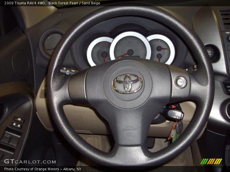 Black Forest Pearl / Sand Beige 2009 Toyota RAV4 4WD