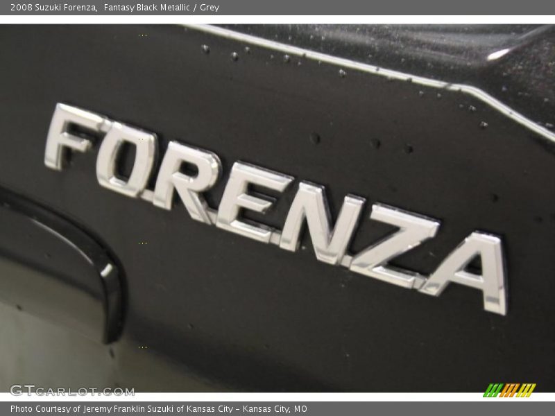 Fantasy Black Metallic / Grey 2008 Suzuki Forenza