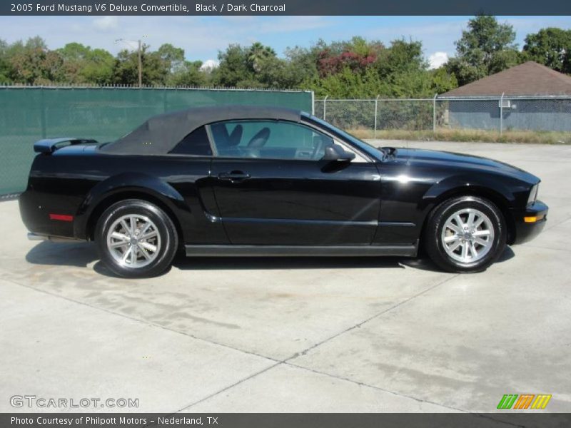 Black / Dark Charcoal 2005 Ford Mustang V6 Deluxe Convertible