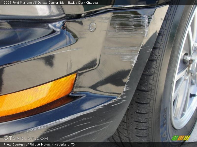Black / Dark Charcoal 2005 Ford Mustang V6 Deluxe Convertible