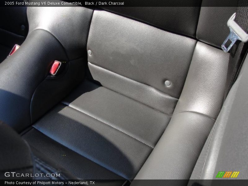 Black / Dark Charcoal 2005 Ford Mustang V6 Deluxe Convertible
