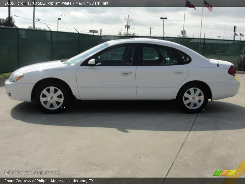 Vibrant White / Medium/Dark Flint 2005 Ford Taurus SEL