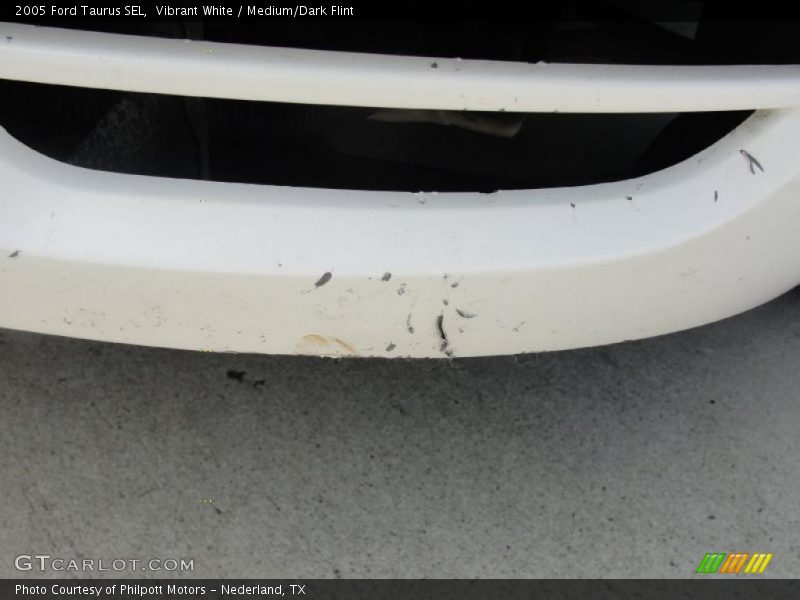 Vibrant White / Medium/Dark Flint 2005 Ford Taurus SEL
