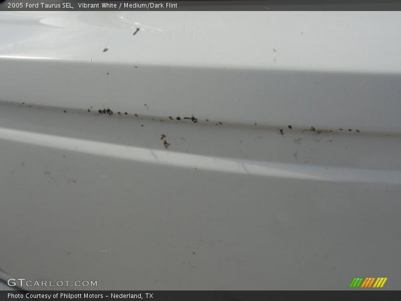 Vibrant White / Medium/Dark Flint 2005 Ford Taurus SEL