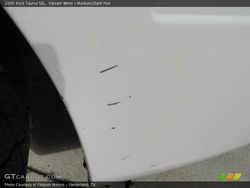 Vibrant White / Medium/Dark Flint 2005 Ford Taurus SEL