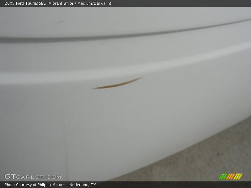 Vibrant White / Medium/Dark Flint 2005 Ford Taurus SEL