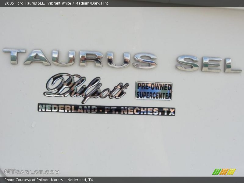 Vibrant White / Medium/Dark Flint 2005 Ford Taurus SEL