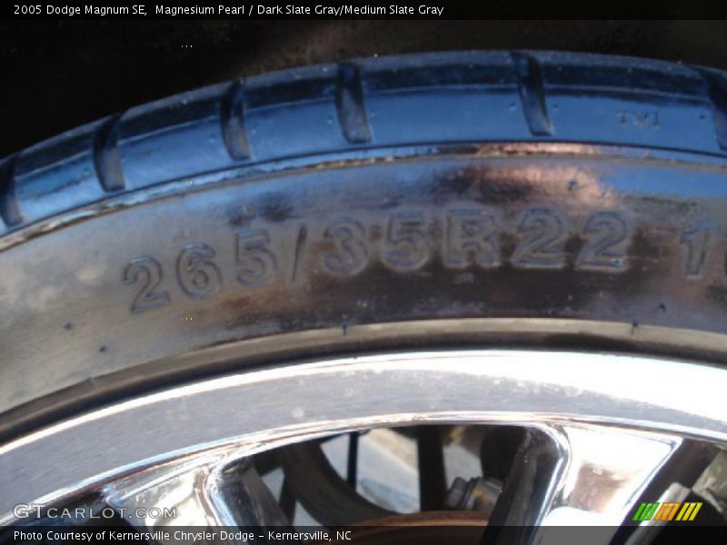 Magnesium Pearl / Dark Slate Gray/Medium Slate Gray 2005 Dodge Magnum SE