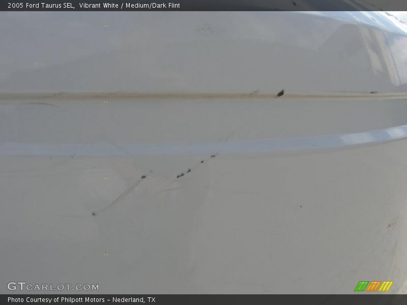 Vibrant White / Medium/Dark Flint 2005 Ford Taurus SEL
