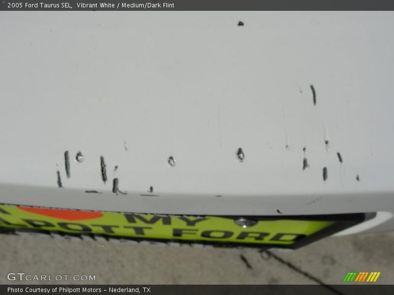 Vibrant White / Medium/Dark Flint 2005 Ford Taurus SEL