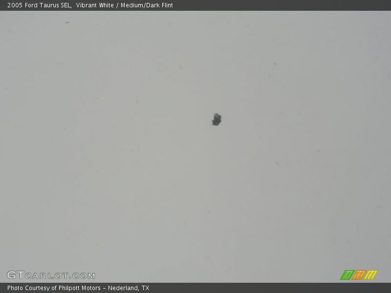 Vibrant White / Medium/Dark Flint 2005 Ford Taurus SEL