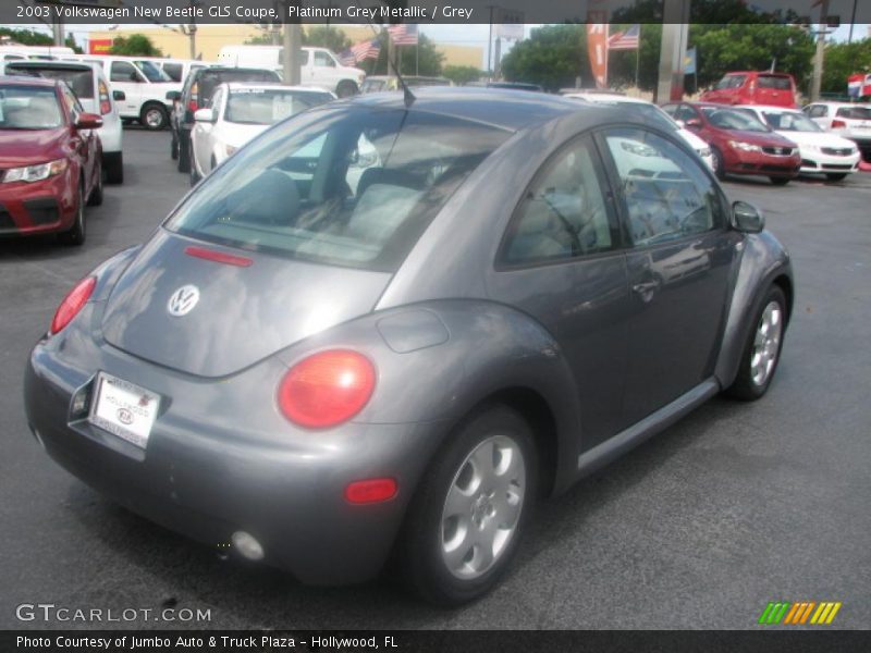 Platinum Grey Metallic / Grey 2003 Volkswagen New Beetle GLS Coupe