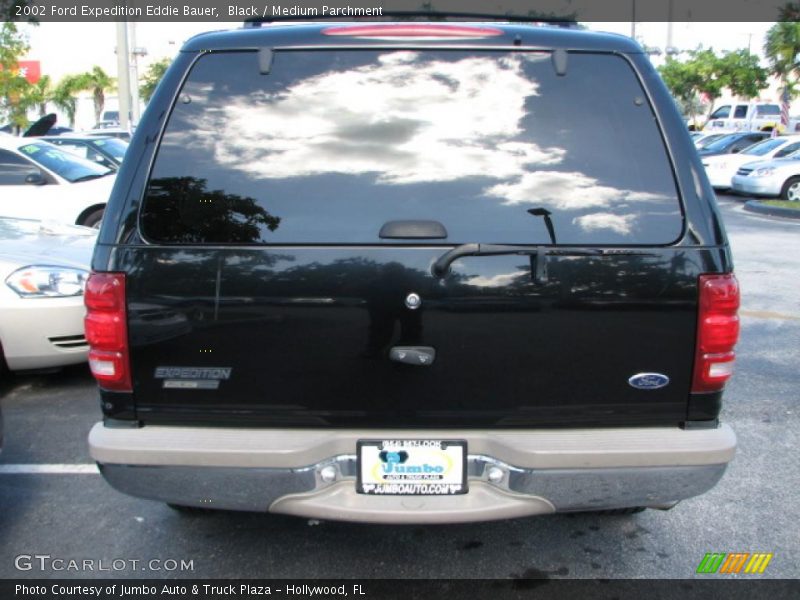 Black / Medium Parchment 2002 Ford Expedition Eddie Bauer