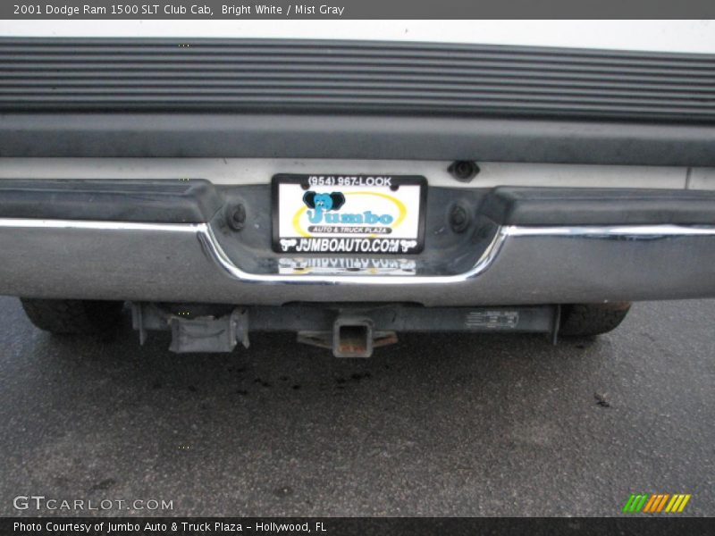 Bright White / Mist Gray 2001 Dodge Ram 1500 SLT Club Cab