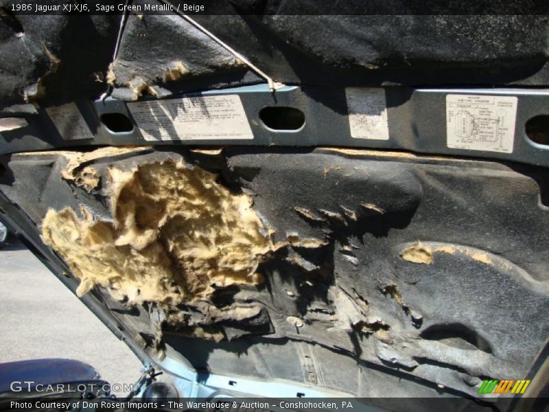 Sage Green Metallic / Beige 1986 Jaguar XJ XJ6