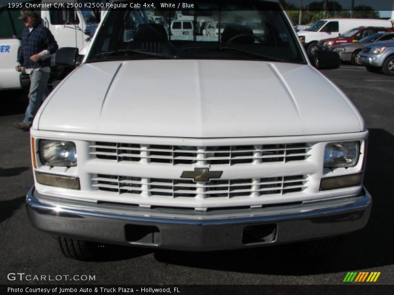 White / Blue 1995 Chevrolet C/K 2500 K2500 Regular Cab 4x4