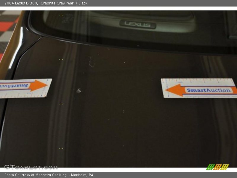 Graphite Gray Pearl / Black 2004 Lexus IS 300