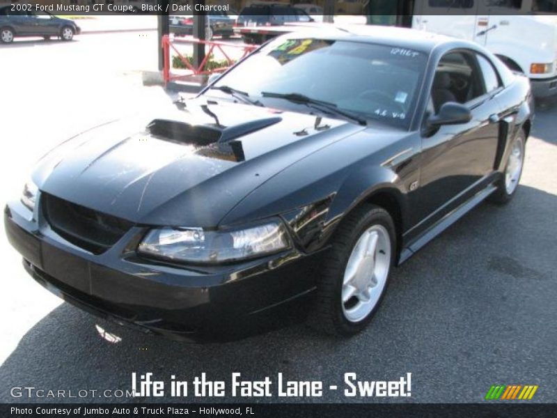 Black / Dark Charcoal 2002 Ford Mustang GT Coupe