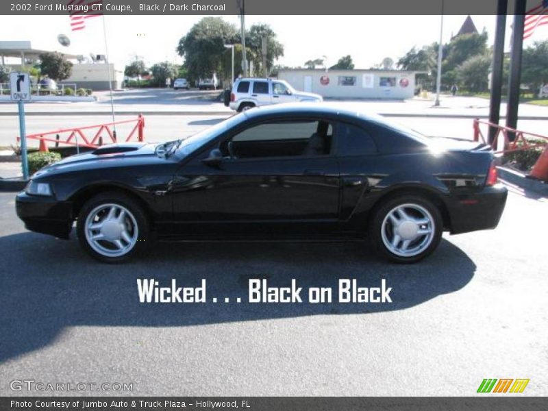Black / Dark Charcoal 2002 Ford Mustang GT Coupe