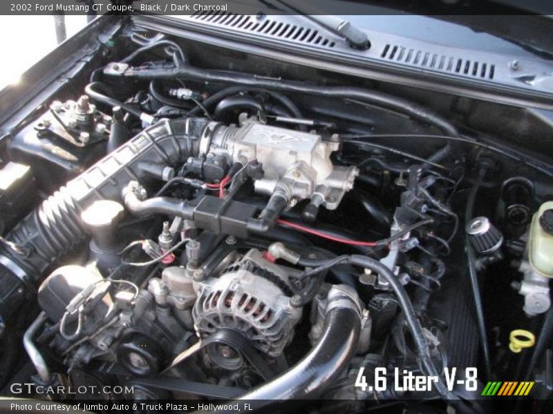 Black / Dark Charcoal 2002 Ford Mustang GT Coupe