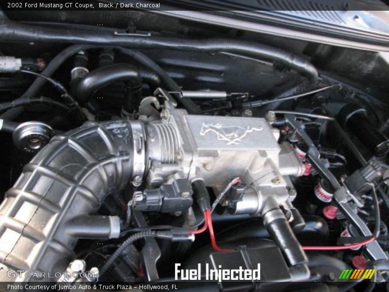 Black / Dark Charcoal 2002 Ford Mustang GT Coupe