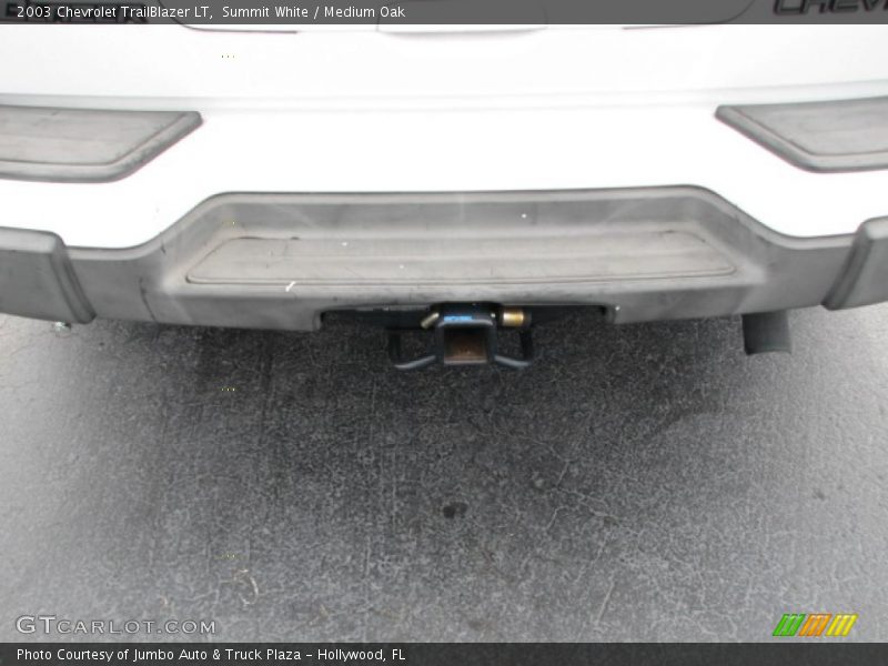 Summit White / Medium Oak 2003 Chevrolet TrailBlazer LT