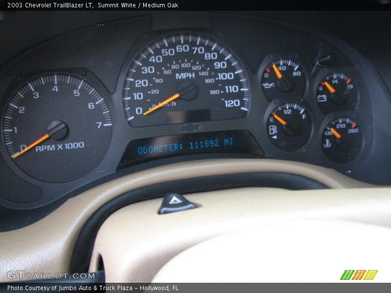Summit White / Medium Oak 2003 Chevrolet TrailBlazer LT