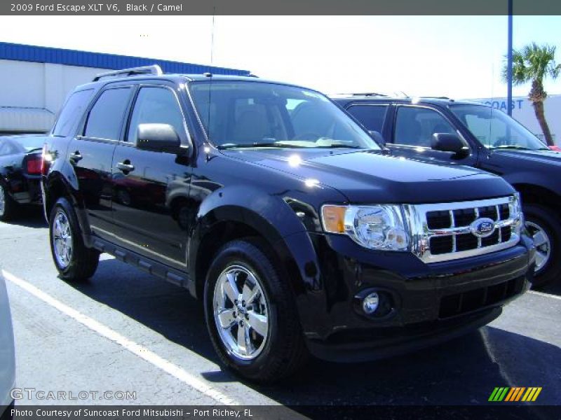 Black / Camel 2009 Ford Escape XLT V6