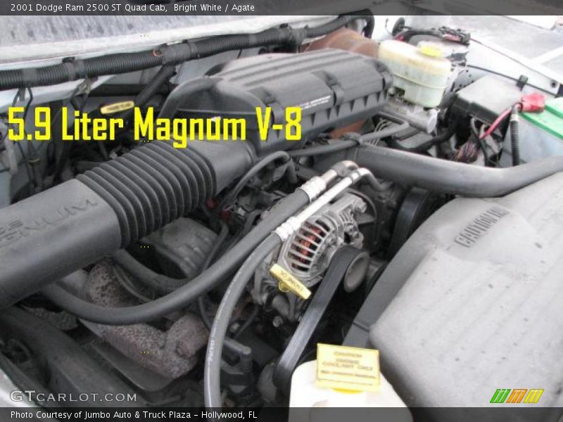 Bright White / Agate 2001 Dodge Ram 2500 ST Quad Cab