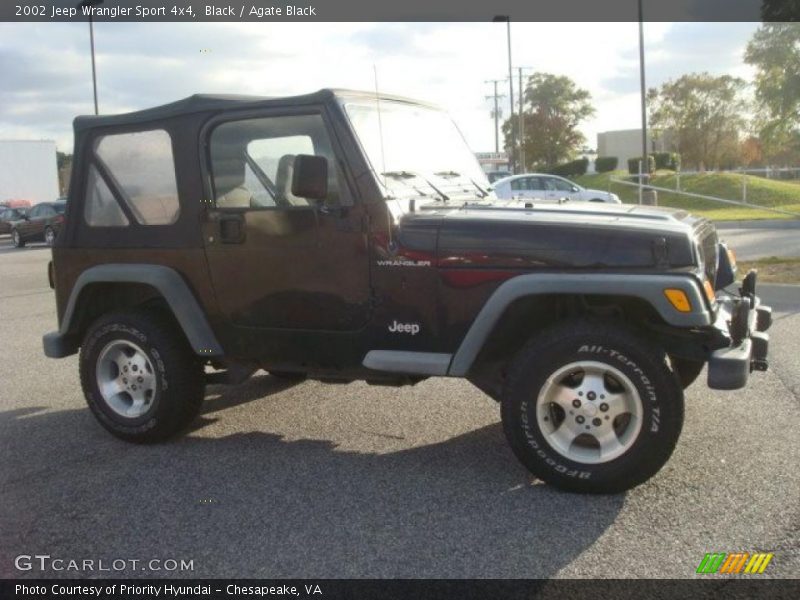 Black / Agate Black 2002 Jeep Wrangler Sport 4x4
