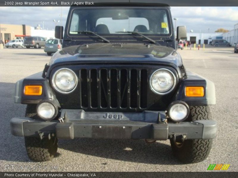 Black / Agate Black 2002 Jeep Wrangler Sport 4x4