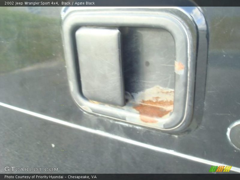 Black / Agate Black 2002 Jeep Wrangler Sport 4x4