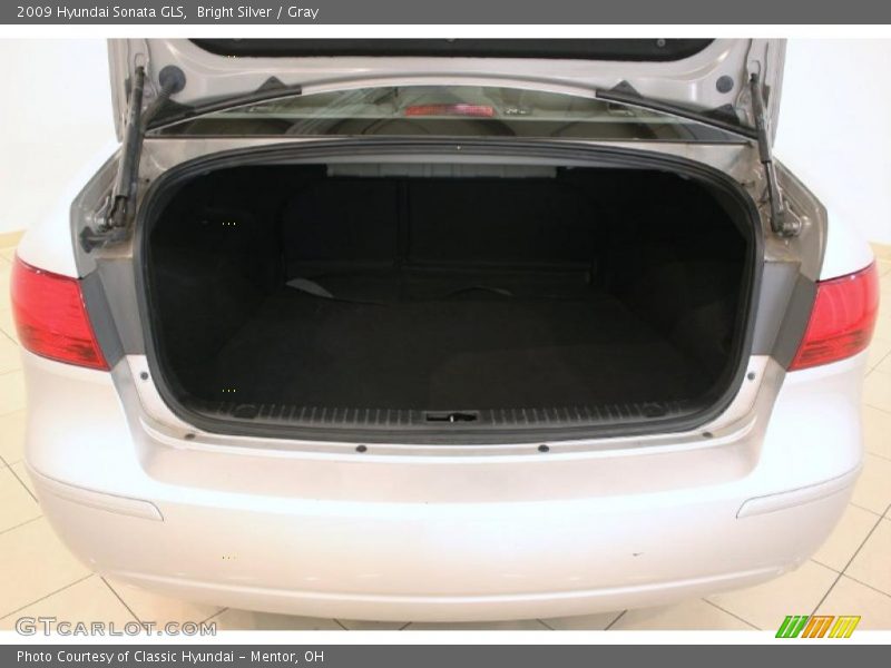 Bright Silver / Gray 2009 Hyundai Sonata GLS