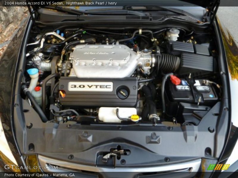 Nighthawk Black Pearl / Ivory 2004 Honda Accord EX V6 Sedan