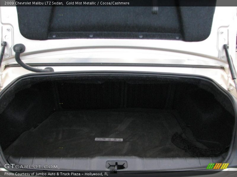 Gold Mist Metallic / Cocoa/Cashmere 2009 Chevrolet Malibu LTZ Sedan