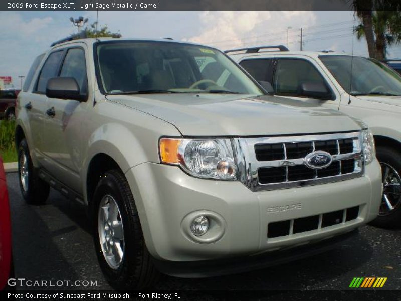 Light Sage Metallic / Camel 2009 Ford Escape XLT