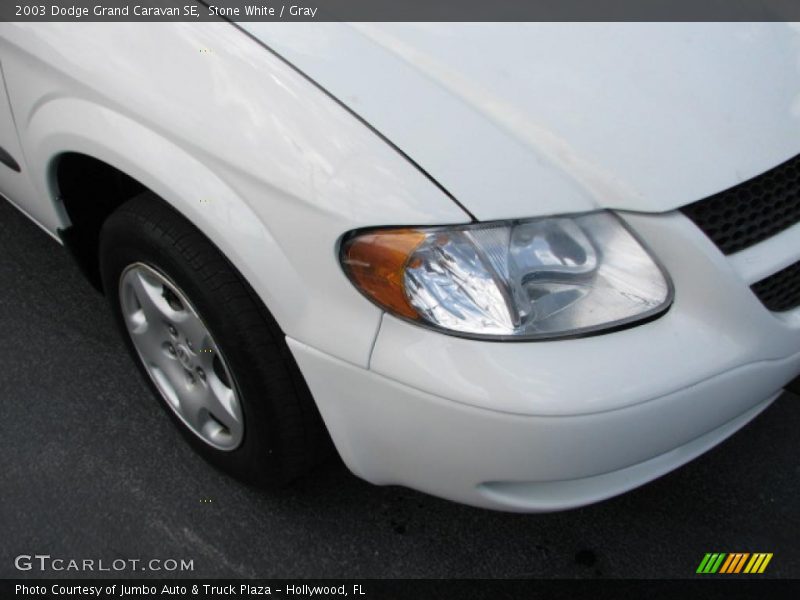 Stone White / Gray 2003 Dodge Grand Caravan SE