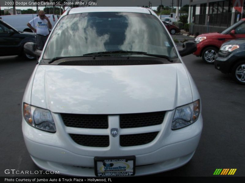 Stone White / Gray 2003 Dodge Grand Caravan SE