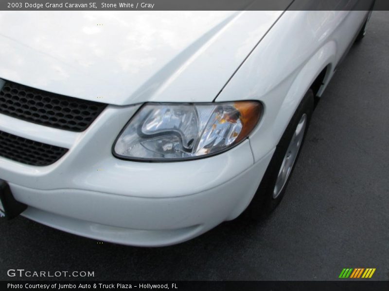 Stone White / Gray 2003 Dodge Grand Caravan SE