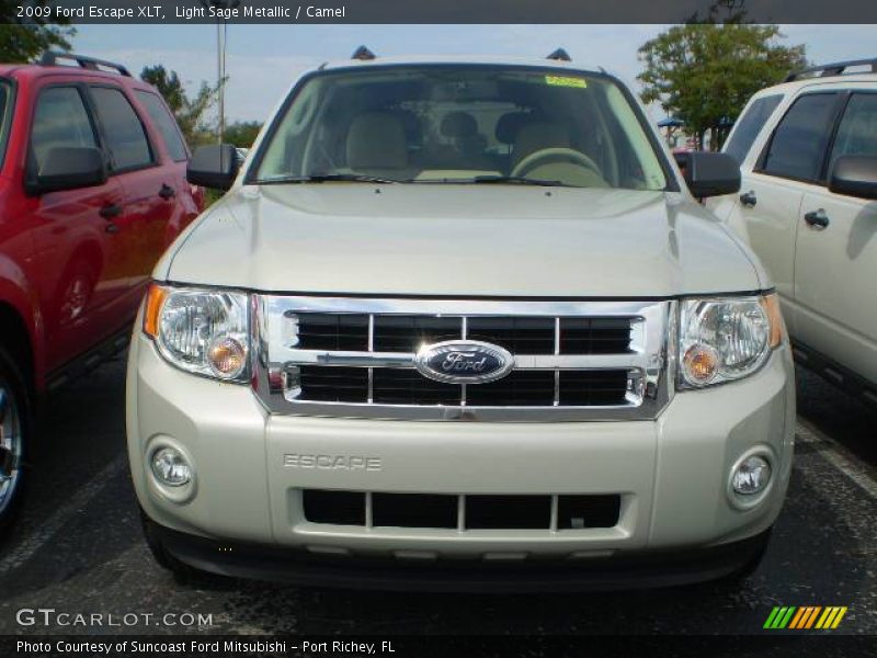 Light Sage Metallic / Camel 2009 Ford Escape XLT