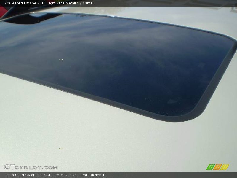 Light Sage Metallic / Camel 2009 Ford Escape XLT