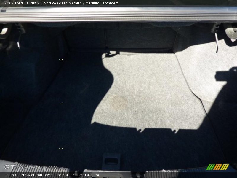 Spruce Green Metallic / Medium Parchment 2002 Ford Taurus SE