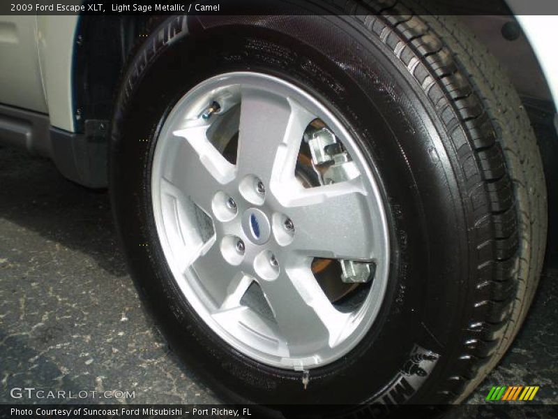 Light Sage Metallic / Camel 2009 Ford Escape XLT