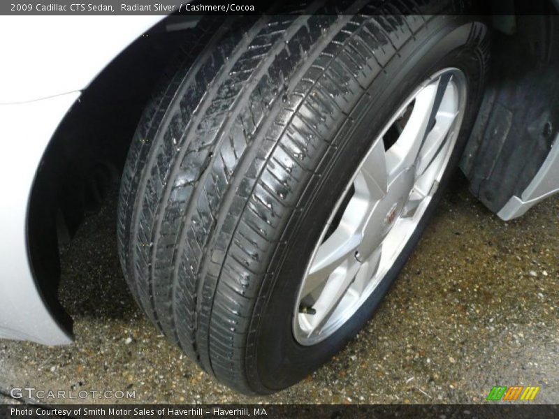 Radiant Silver / Cashmere/Cocoa 2009 Cadillac CTS Sedan